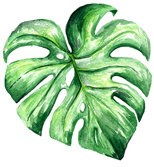 illustration-florale-tropicale-aquarelle-1